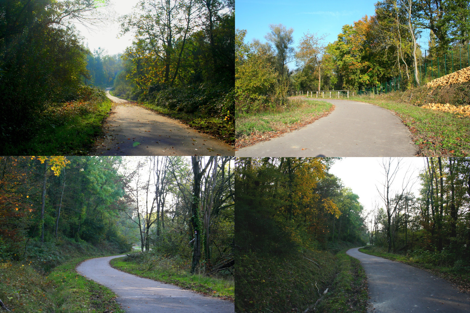 Illustration La thérapie qui marche